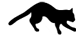 ネコ γ