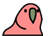 虹色のオウム